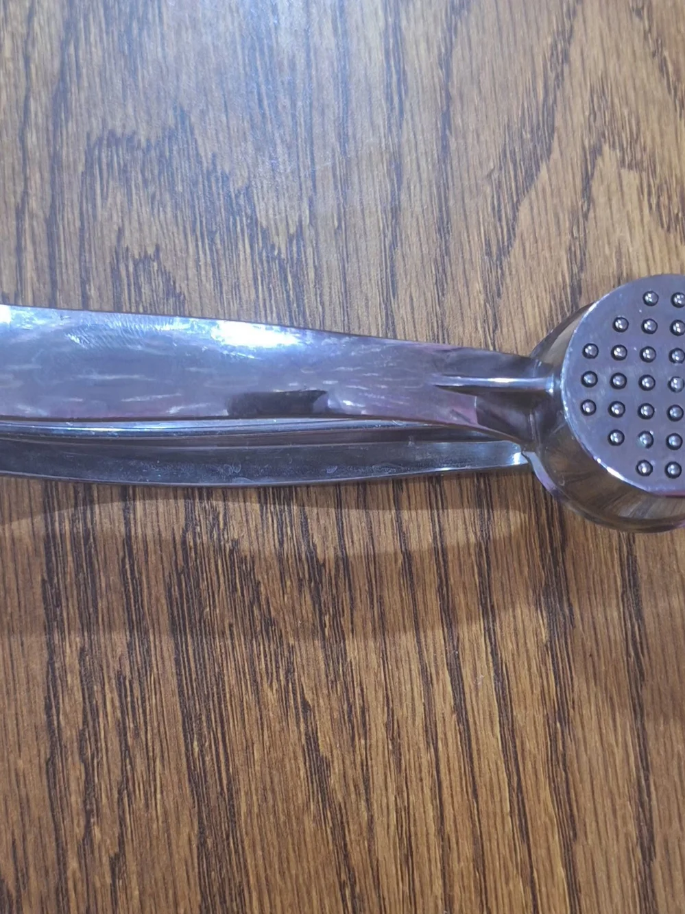 Stainless Steel Garlic Press - Silver